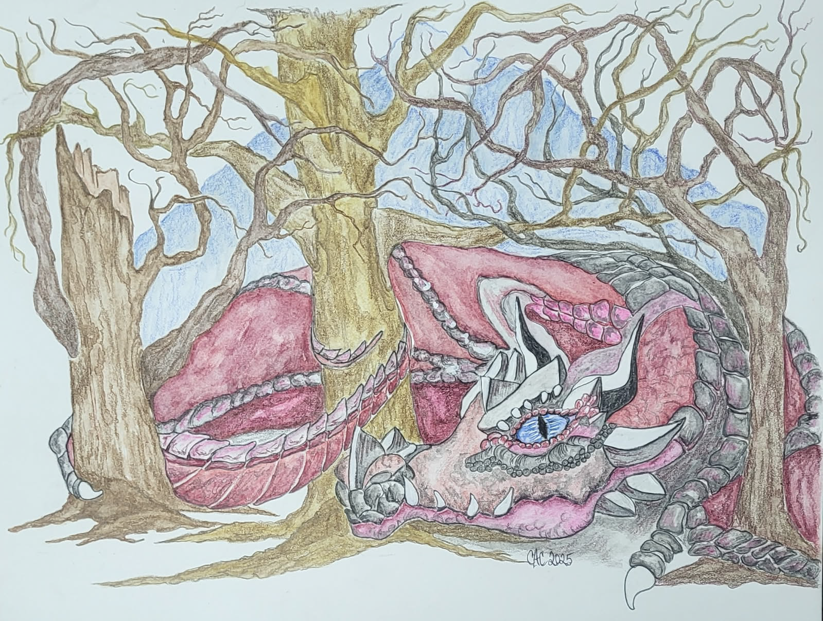 Dragon Forest